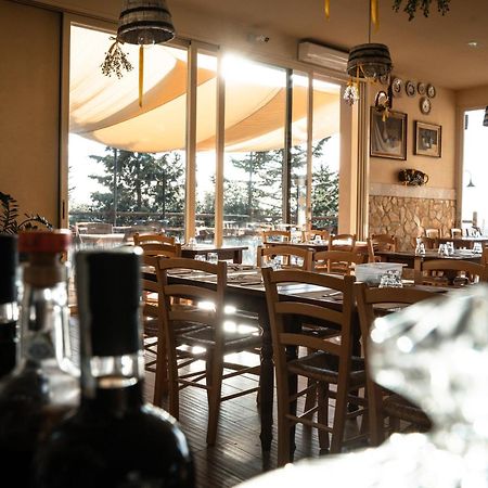 Agriturismo Eco-Bio Belmonte Vacanze Montaione Kültér fotó