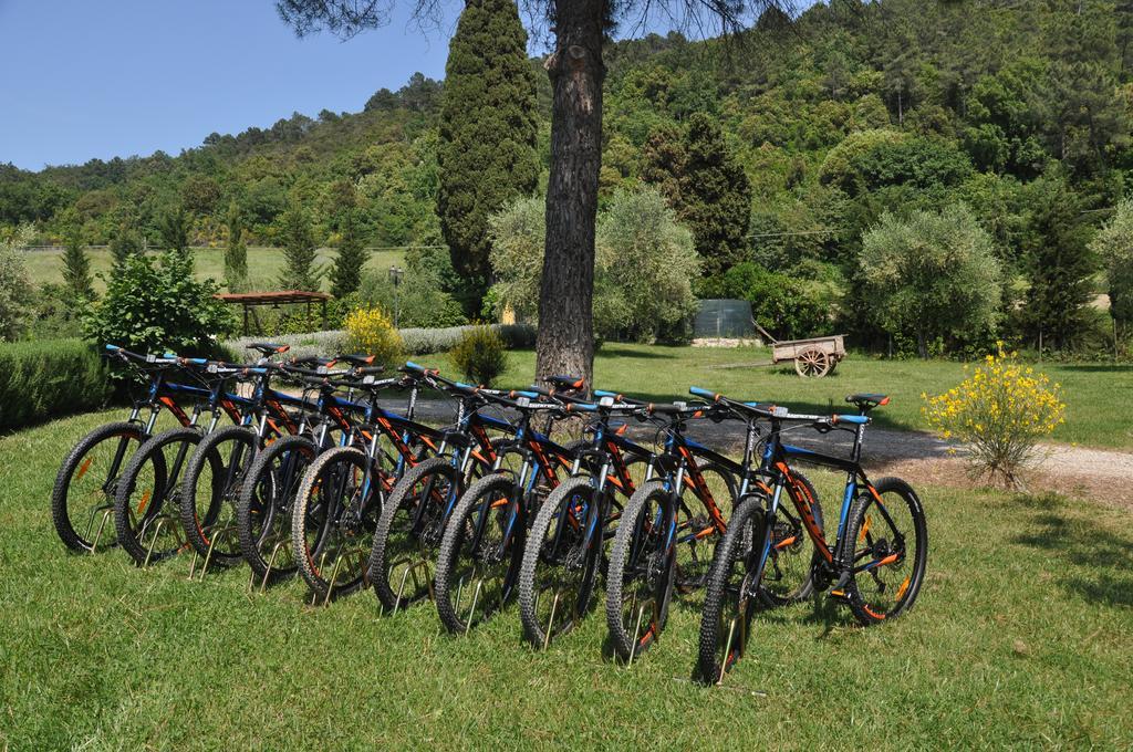 Agriturismo Eco-Bio Belmonte Vacanze Montaione Kültér fotó