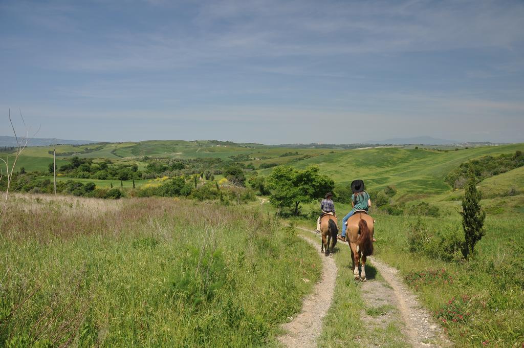 Agriturismo Eco-Bio Belmonte Vacanze Montaione Kültér fotó