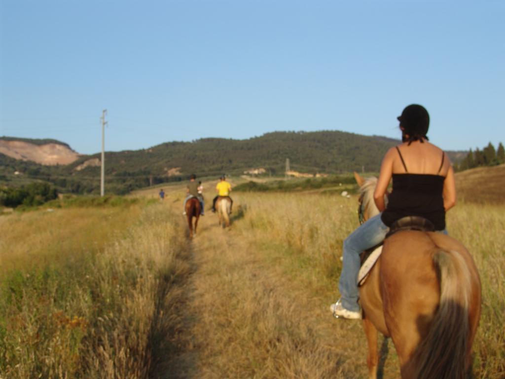 Agriturismo Eco-Bio Belmonte Vacanze Montaione Kültér fotó
