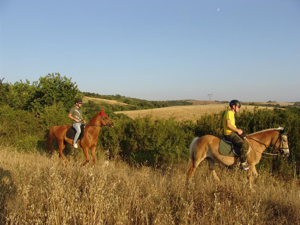 Agriturismo Eco-Bio Belmonte Vacanze Montaione Kültér fotó