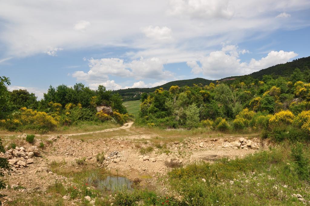 Agriturismo Eco-Bio Belmonte Vacanze Montaione Kültér fotó