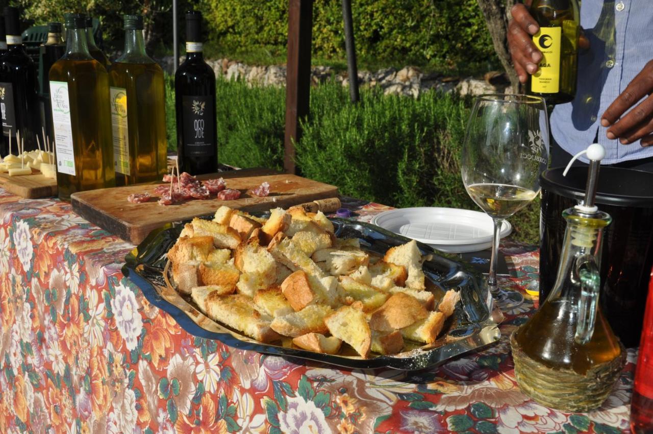 Agriturismo Eco-Bio Belmonte Vacanze Montaione Kültér fotó