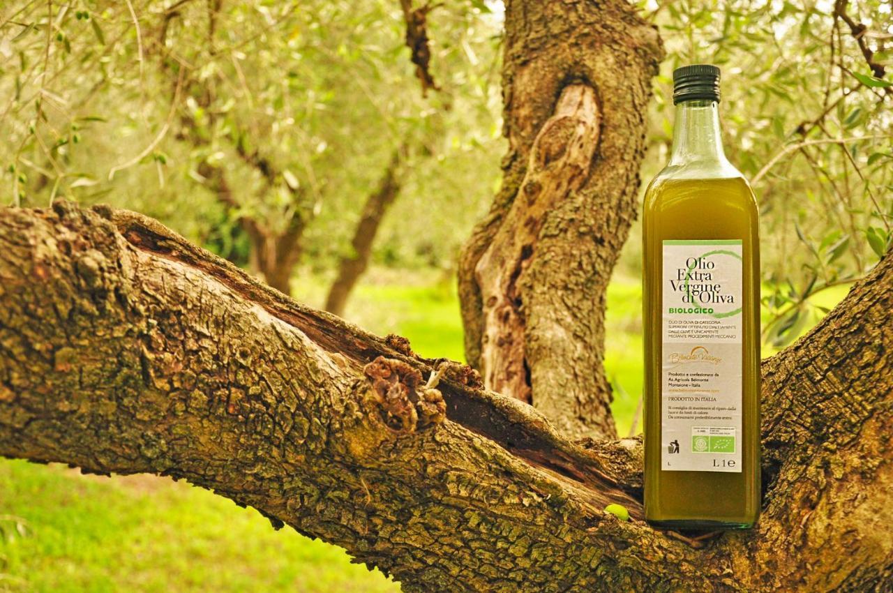 Agriturismo Eco-Bio Belmonte Vacanze Montaione Kültér fotó