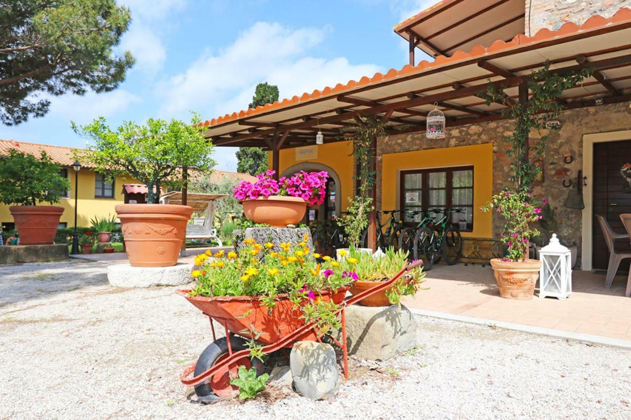 Agriturismo Eco-Bio Belmonte Vacanze Montaione Kültér fotó