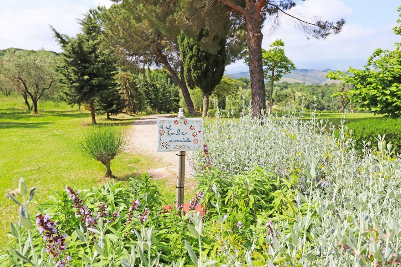 Agriturismo Eco-Bio Belmonte Vacanze Montaione Kültér fotó