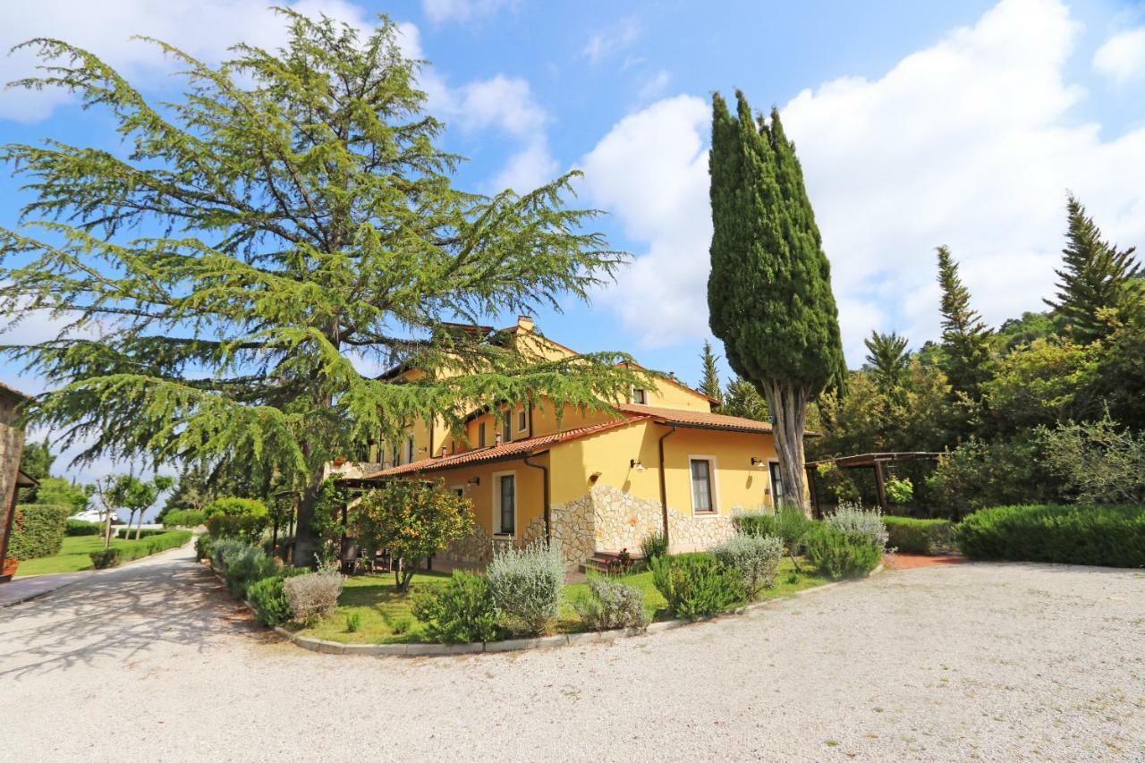 Agriturismo Eco-Bio Belmonte Vacanze Montaione Kültér fotó